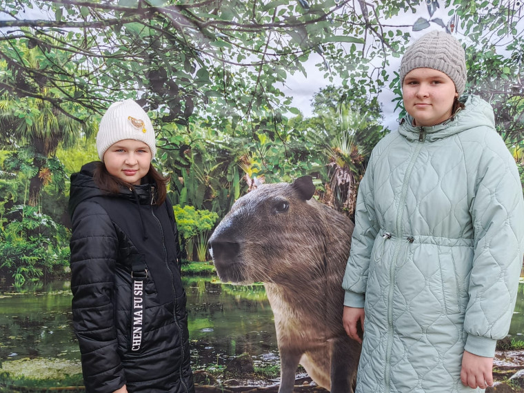 От хомяка до копибары.