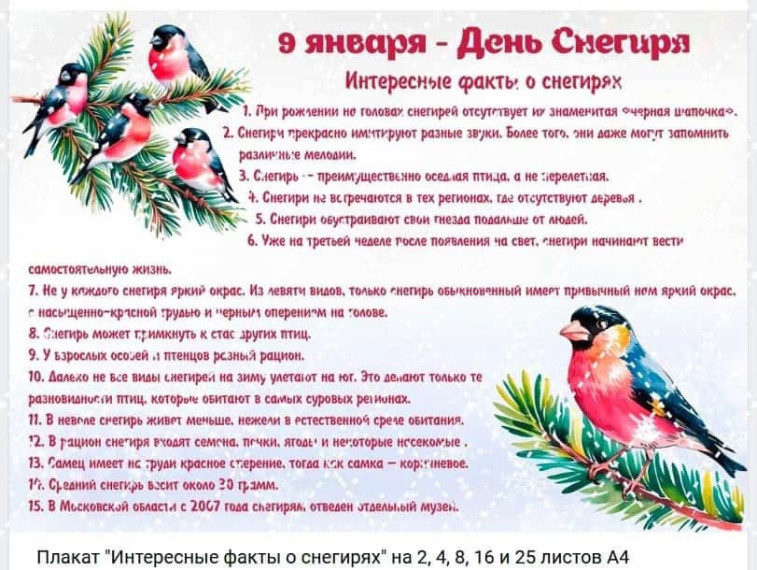 День снегиря.