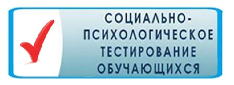 СОЦИАЛЬНО-ПСИХОЛОГИЧЕСКОЕ ТЕСТИРОВАНИЕ 2024..